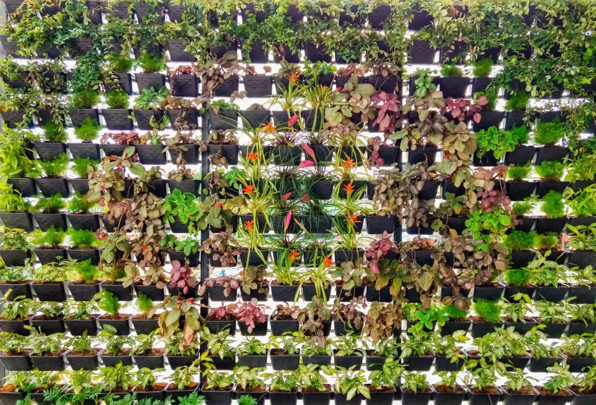 วัสดุก่อสร้าง, loxcons,สวนแนวตั้ง,จัดสวนแนวตั้ง,green wall,vertical green wall,grow pot,ถาด grow pot